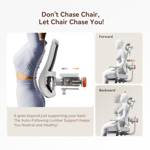 Newtral Ergonomic Office Chair, Auto-Following Lumbar Support Desk Chair with Footrest (Grey, 5D Headrest +Laptop Tray) - color: Grey, size: 5D Headrest +Laptop Tray