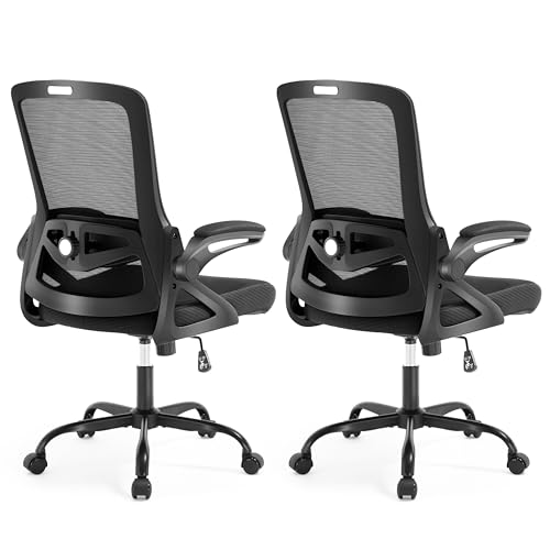 Ergonomic Office Chair, Desk Chair with Adjustable Lumbar Support, Breathable Mesh Comfy Computer Chairs with Flip-up Armrests Executive Task Chair for Adults Home Office (2Pcs) - color: 2pcs Black