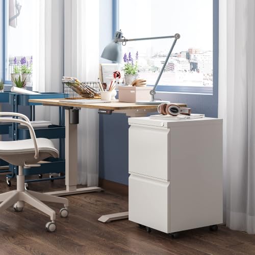 DEVAISE 2 Drawer File Cabinet with Lock for Home Office, Fully Assembled - color: White, size: 17"D x 15"W x 27"H