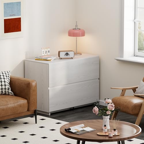 ModernMate 31.5" Lateral Wood Filing Cabinet with 2 Large Drawers, White - color: White