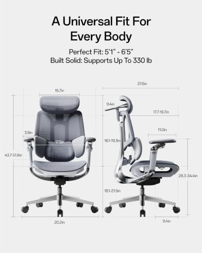 Hbada E3 Pro 2026 Edition Ergonomic Office Chair, Mesh Desk Chair with 3-Zone Floating Lumbar Support, Upgraded 4D Headrest, 720° Armrests, Grey - color: Space Gray