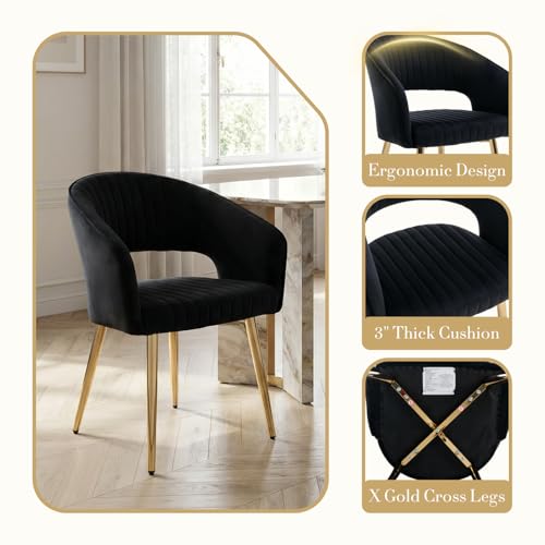 Velvet Dining Chairs Set of 2, Upholstered Dining Room Chairs with Gold Metal Legs, Modern Accent Kitchen Chairs with Curved Backrest for Living Room, Black - color: Black 2