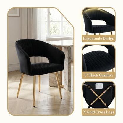 Velvet Dining Chairs Set of 2, Upholstered Dining Room Chairs with Gold Metal Legs, Modern Accent Kitchen Chairs with Curved Backrest for Living Room, Black - color: Black 2