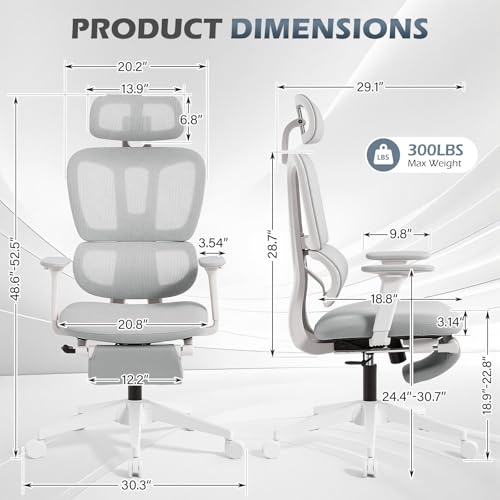 Ergonomic Office Chair with Footrest and Dynamic Lumbar Support, Grey | Reclining high-back computer chair, memory foam seat, 2D armrests, 2D headrest, mesh desk chair for home office, long hours - color: Light Grey