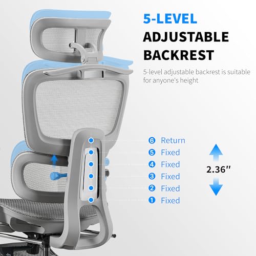 Mesh Ergonomic Office Chair with Footrest, Grey | High Back, Lumbar Support, Adjustable Headrest and Armrests, Gaming Chair,Home Office Desk Chair - color: Grey, style: Modern