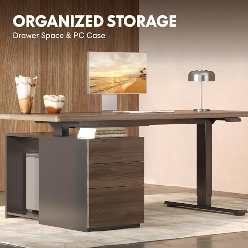 FLEXISPOT 60" Executive Standing Desk with Drawers & CPU Cabinet - color: Black Walnut, size: 60"x30"