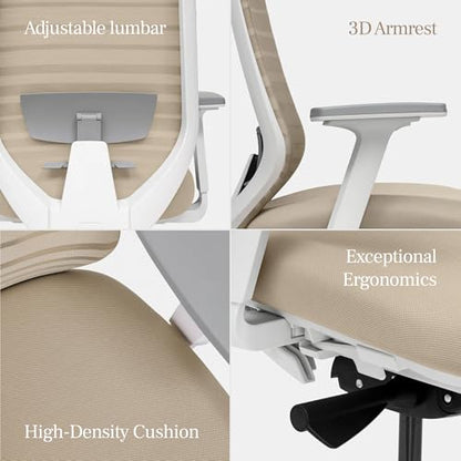 Branch Ergonomic Chair, Versatile Desk Chair with Adjustable Lumbar Support
