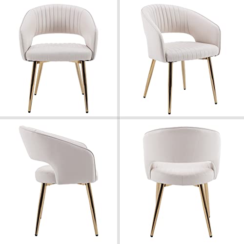 Modern Dining Chairs Set of 2, Upholstered PU Leather Dining Room Chairs with Gold Metal Legs, Accent Kitchen Chairs with Curved Backrest for Living Room, Cream - color: Cream