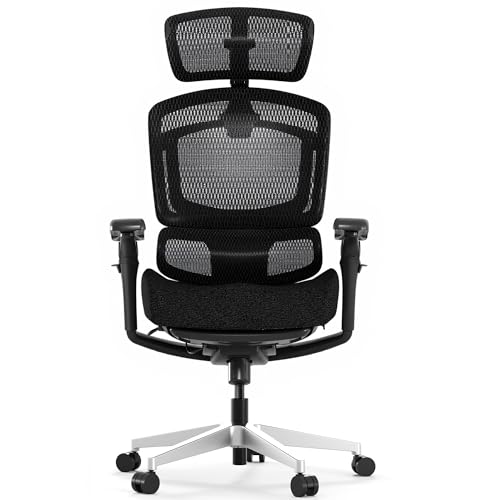 FLEXISPOT ErgoX PRO Premium Ergonomic Office Chair Soft Black-FT - color: Soft Black, size: Overall Depth 46"