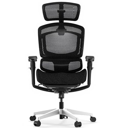 FLEXISPOT ErgoX PRO Premium Ergonomic Office Chair Soft Black-FT - color: Soft Black, size: Overall Depth 46"
