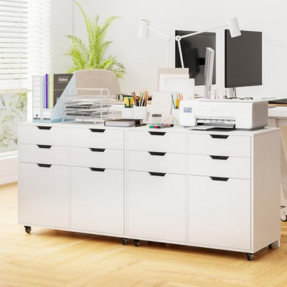 White File Cabinet with 4 Drawers and 2 Doors