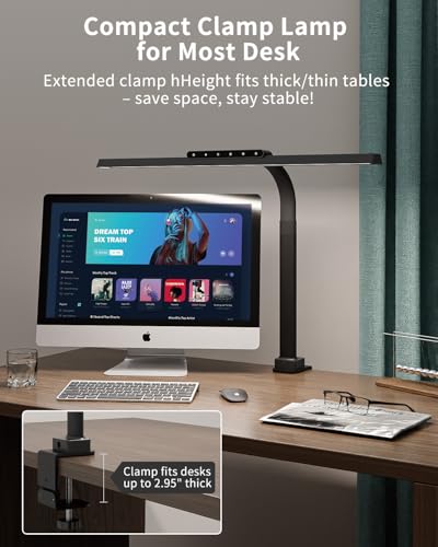 Clamp on Desk Lamp for Home Office, 24W Bright Light with Adapter | Touch Control Computer Lights, Flexible Gooseneck Stepless Dimming Table Lamp for Reading, Study, Workbench