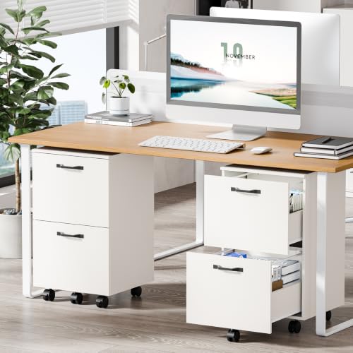 Sweetcrispy 2-Drawer Rolling File Cabinet, Under Desk Storage, White
