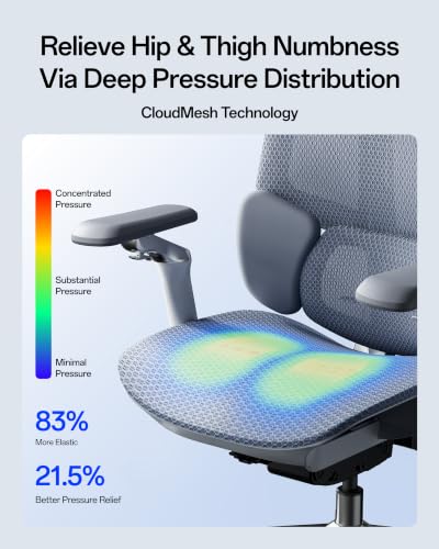 Hbada E3 Pro 2026 Edition Ergonomic Office Chair, Mesh Desk Chair with 3-Zone Floating Lumbar Support, Upgraded 4D Headrest, 720° Armrests, Grey - color: Space Gray