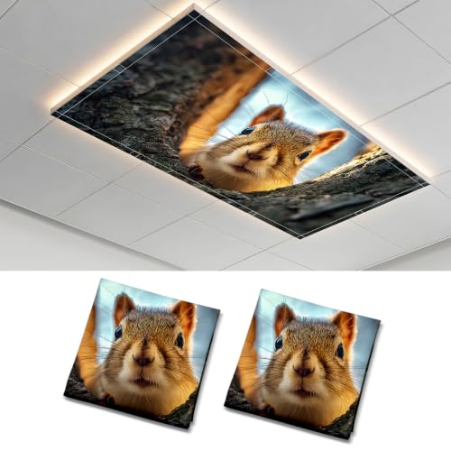 2 Pack Tree Hole Squirrel Decorative Ceiling Light Covers, Magnetic 4x2 Ft Fluorescent or LED Panel Filter, Anti-Glare Eye Protection for Classroom Office - color: Squirrel (2)