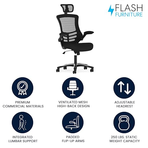 Flash Furniture Mesh Swivel Adjustable Office Chair, Black