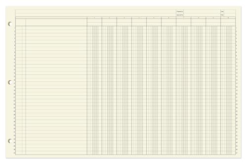 10 Column Accounting Ledger Sheets, 17'' x 11'', 50 Pages | Large Columnar Loose Leaf Paper, 3-Hole Punched - Made in USA - size: 10 Column, style: Loose Leaf Sheets