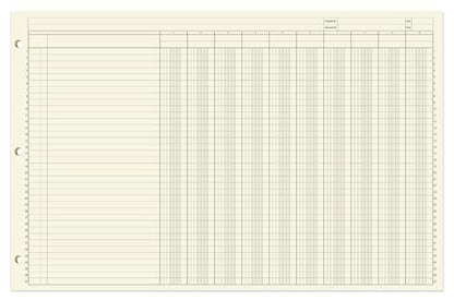 10 Column Accounting Ledger Sheets, 17'' x 11'', 50 Pages | Large Columnar Loose Leaf Paper, 3-Hole Punched - Made in USA - size: 10 Column, style: Loose Leaf Sheets