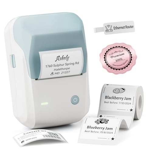 NIIMBOT B1 Label Maker Machine with Tape, 2Inch Thermal Label Printer - color: Light Blue, style: 1 Printer+1 Roll Label