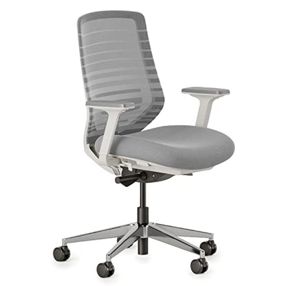 Branch Ergonomic Chair, Versatile Desk Chair with Adjustable Lumbar Support