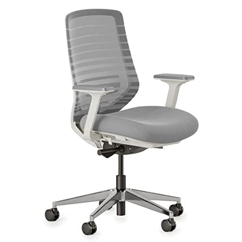 Branch Ergonomic Chair, Versatile Desk Chair with Adjustable Lumbar Support