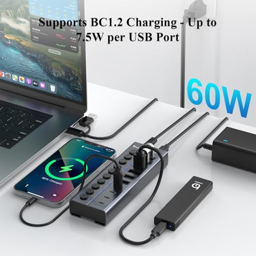 Powered USB Hub, 10-Port USB C Hub with 6 USB-A 3.2, 4 USB-C 3.2 Ports - color: Gery