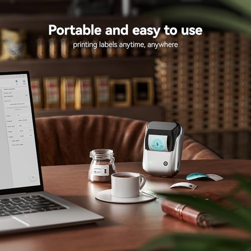 NIIMBOT B1 Label Maker Machine with Tape for Home and School, Silver Gray | 2 Inch Portable Label Printer Bluetooth Thermal Sticker Printer for Small Business Labeling, Compatible with Phones & PC - color: Silver Gray, style: Printer+Tape