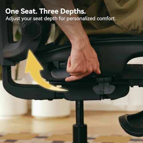 SIHOO B300 Pro Ergonomic Office Chair Without Footrest, 4D Lumbar Support - color: Black