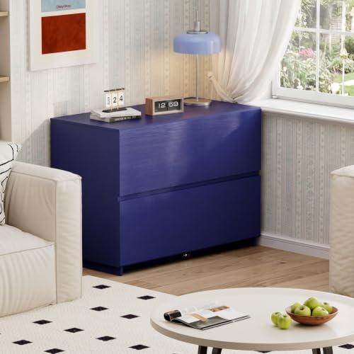 ModernMate 31.5" Lateral Wood Filing Cabinet with 2 Large Drawers, Blue - color: Blue