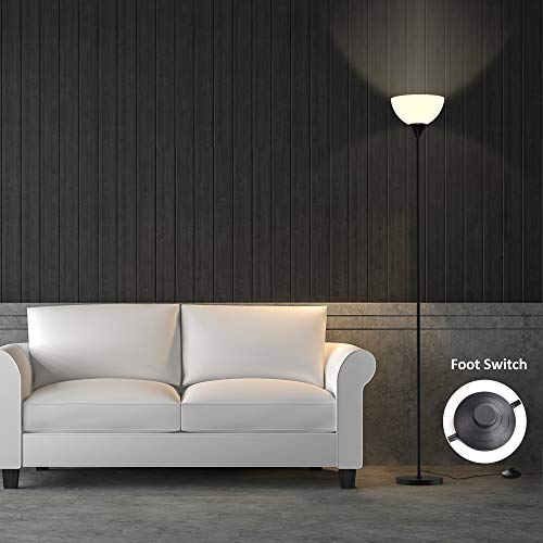 PESRAE RGB Floor Lamp, Stepless Brightness & Color Temperature - color: Matte Black RGB