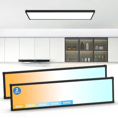 1x4 LED Flat Panel Light Surface Mount 2Pack,5CCT Selectable,Black - color: Black