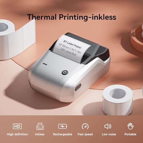 NIIMBOT B1 Label Maker Machine with Tape for Home and School, Silver Gray | 2 Inch Portable Label Printer Bluetooth Thermal Sticker Printer for Small Business Labeling, Compatible with Phones & PC - color: Silver Gray, style: Printer+Tape