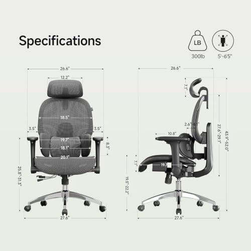 X19 Ergonomic Office Chair, 3-Zone Lumbar for Back Pain Relief - color: Midnight Black