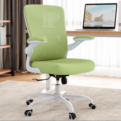 Ergalithic Office Chair: Mesh Ergonomic Desk Chair with 3D Lumbar & Swivel - color: Green, size: Pack of 1
