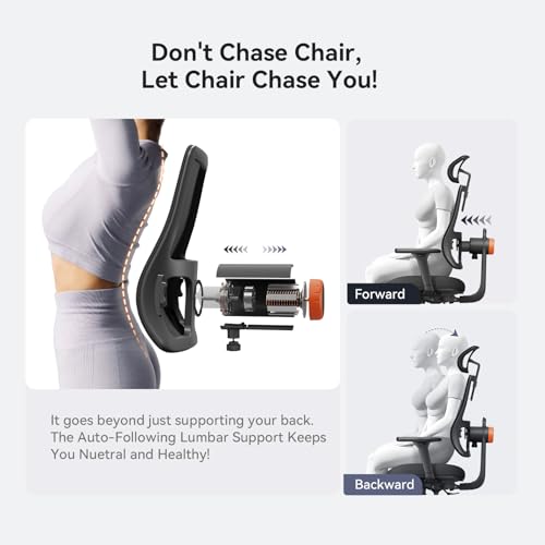 Newtral Ergonomic Office Chair, Ergonomic Mesh High Back Desk Chair, Computer Task Chair, with Footrest, Adaptive Lumbar Support - color: Black, size: 2D Headrest +Laptop Tray