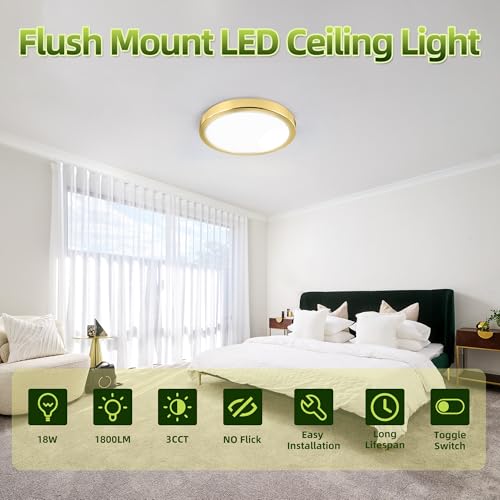 hykolity 9 Inch Selectable CCT LED Round Flat Panel Light,1800LM,2 Pack | 18W 3000K/4000K/5000K, Edge-Lit Flush Mount Ceiling Light Fixture for Kitchen, Bedroom, Laundry and Closet Room,Gold - color: Gold, size: 9 inch