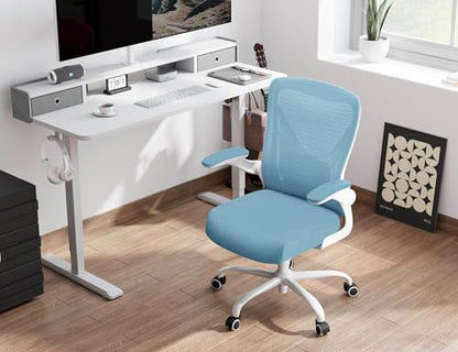 Ergalithic Office Chair: Mesh Ergonomic Desk Chair with 3D Lumbar & Swivel - color: Sky Blue, size: Pack of 1