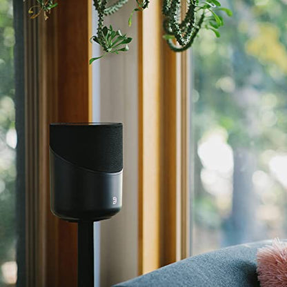 Bluesound Pulse M Omni-Hybrid Wireless Music Streaming Speaker with Bluetooth - Black - Compatible with Alexa and Siri - color: Black