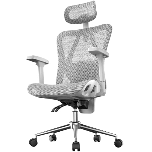 naspaluro Ergonomic Office Chair Mesh Desk Chair with Adjustable Headrest Lumbar Support 3D Armrest 90-135° Reclining Chairs for Home Office, Study, Work & Gaming (Grey) - color: Grey