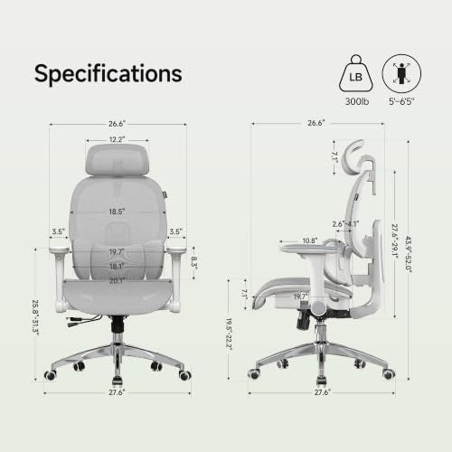 X19 Ergonomic Office Chair, 3-Zone Lumbar for Back Pain Relief - color: Mist Grey