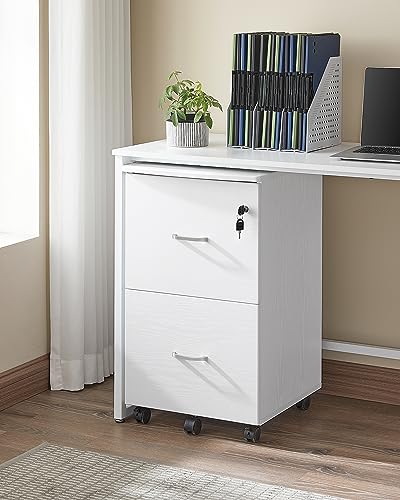 VASAGLE 2-Drawer File Cabinet, Small Rolling, Locking, Printer Stand - color: Snow White, size: with Lock