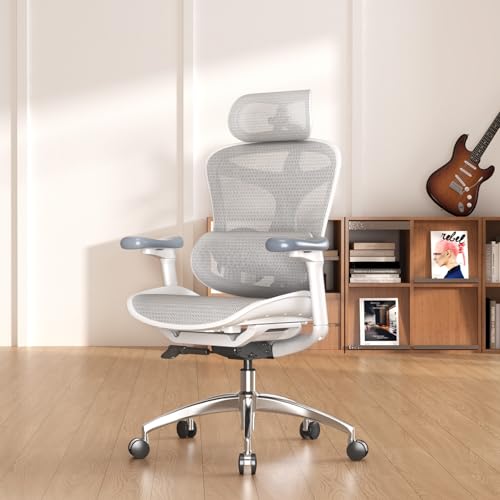 SIHOO Doro C300 Ergonomic Office Chair with Ultra Soft 3D Armrests | Dynamic Lumbar Support for Home Office Chair, Adjustable Backrest Desk Chair, Swivel Big & Tall Computer Chair, Grey - color: Light Grey, size: Pack of 1