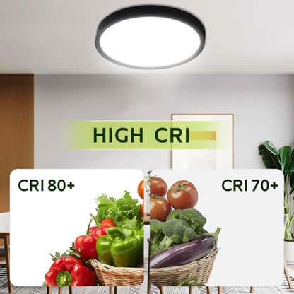 hykolity 9 Inch Selectable CCT LED Round Flat Panel Light,1800LM,2 Pack | 18W 3000K/4000K/5000K, Edge-Lit Flush Mount Ceiling Light Fixture for Kitchen, Bedroom, Laundry and Closet Room,Black - color: Black, size: 9 inch