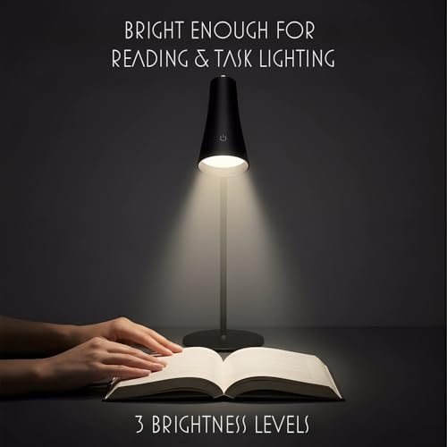 4-in-1 Rechargeable Desk Lamp, Clip and Wall Light, 2 Pack