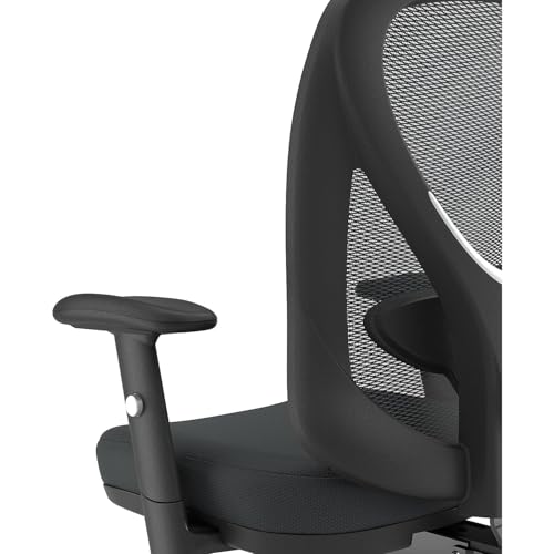 Staples Carder Ergonomic Mesh Task Chair, Lumbar Support, Adjustable, Black - style: 1 Pack