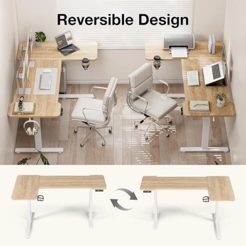 Acrolix L Shaped Electric Standing Desk, 43x31.5 Inch Reversible, Oak - color: Oak, size: 43