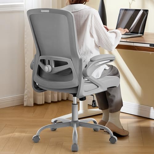 Ergonomic Office Chair, Desk Chair with Adjustable Lumbar Support, Breathable Mesh Comfy Computer Chairs with Flip-up Armrests Executive Task Chair for Adults Home Office (Gray) - color: Light Grey