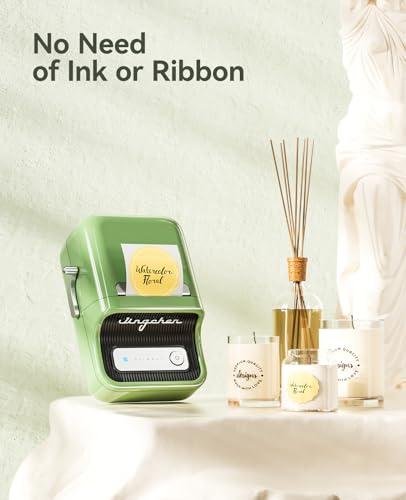 NIIMBOT B21 Label Maker, 2 Inch Bluetooth Thermal Label Printer, Green | Retro Sticker Printer, for Address, Logo, Canning Jar, Candle, Mailing,Gift, Compatible with Phones and PC - color: Green