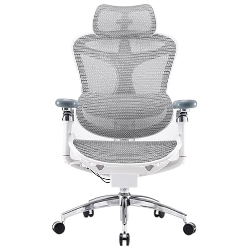 SIHOO Doro C300 Pro Ergonomic Office Chair with Ultra-Soft 6D Armrests | Dynamic Lumbar Support, Seat Depth Adjustment, Adjustable Backrest, Big & Tall Desk Chair for Home Office, Grey - color: Ash Gray, size: Pack of 1