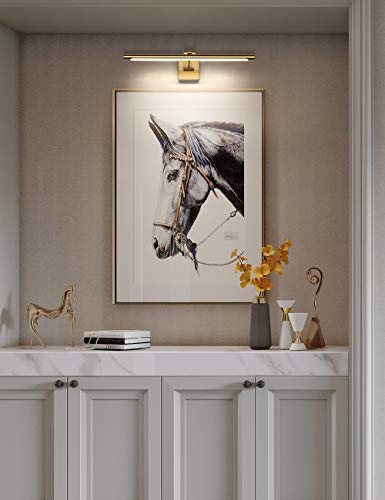 LED Picture Light Fixtures 24.4 Inches, Full Metal Artwork Wall Lamp with Single Swing Arm, 14W (70W Eqv.), Hardwired Connection, Dimmable, 3000K Warm White, CRI95+, Golden-Like Brass Finish - color: Brass, size: Dimmable 24.4" Long